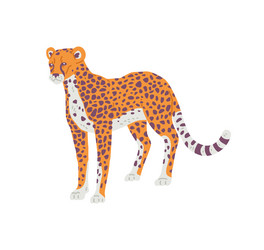 cheetah african predator wild animal flat cartoon vector