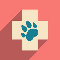 flat with shadow icon and mobile application vector image