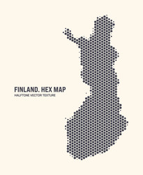 Finland Hexagonal Map Pattern vector image