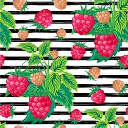 Raspberry Striped Pattern - Summer Vibes vector