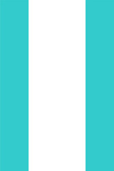 flat pause icon audio sign player interface button vector image