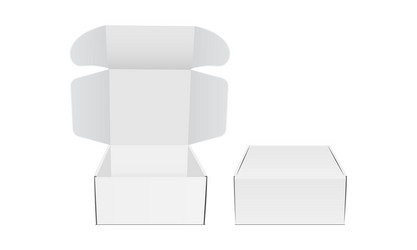 two blank packaging boxes mockup vector