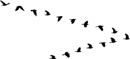 spring symbol Vector Image