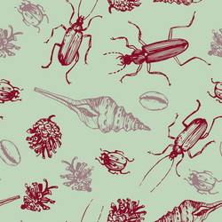 seamless pattern with shells pine cones vector image