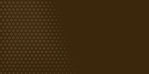 Geometric abstract hexagon two color background vector