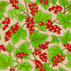 Red currant branches pattern on color background vector