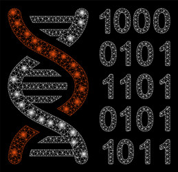 glowing mesh network genetical code with light vector