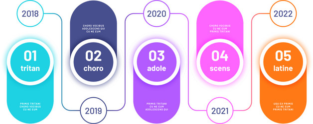 process chart infographic timeline with 5 steps vector image