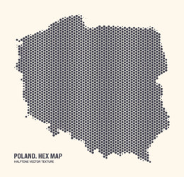 Hexagonal Poland Map Pattern vector image