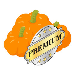 organic pumpkin icon isometric freshly vector