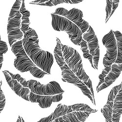 Tropical leaves hand drawn seamless pattern black Vector Image