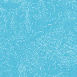 topographic map background with space for copy vector image