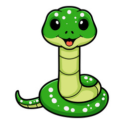 Cute green tree python cartoon vector