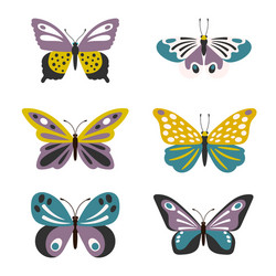 Adorable Butterfly Set Vector Image