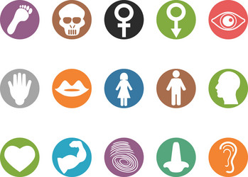 human feature round buttons icons set vector