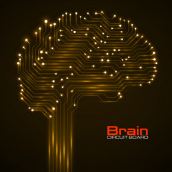 abstract technological brain with glowing circuit vector image