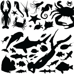 Diverse Underwater Life Vector Image