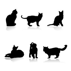 Cat Silhouettes Collection vector