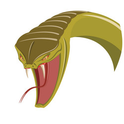 Snakes Head Vector Images (over 4,500)