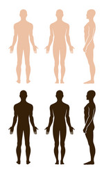 Naked Vector Images (over 16,000)