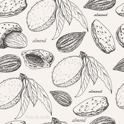 seamless pattern with almonds on white background vector image