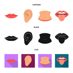 isolated object of body and part symbol set vector image