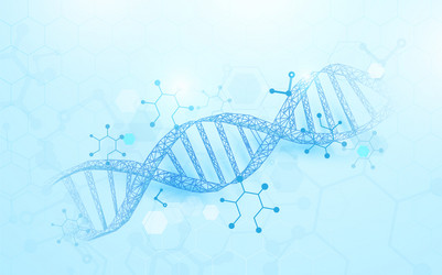 wireframe dna molecules structure background vector image