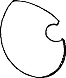Tilting shield is to be distinguished in modern vector