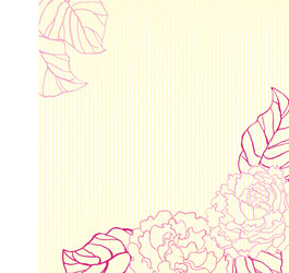 peonies background vector