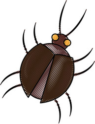 virus bug hacking computer software vector image