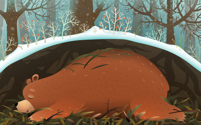 Hibernating Bear Vector Images (over 500)