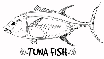 Tuna Fish Line Art Vector Image