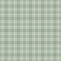 present pattern seamless check structure fabric vector image