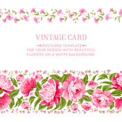 Beautiful peonies Royalty Free Vector Image - VectorStock