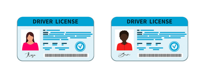 Driver license card licence with id vector