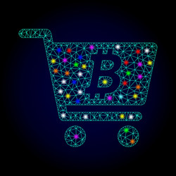 wire frame mesh bitcoin webshop vector image