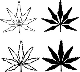 hand drawn doodle cannabis leaf isolated vector