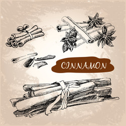 Cinnamon Vector Images (over 20,000)