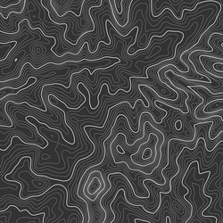 topographic map background with space for copy vector image