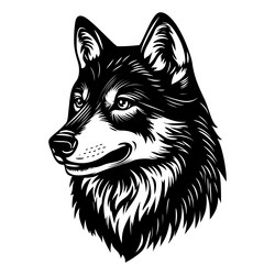 wolf black color on isolated white background Vector Image