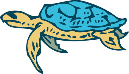 Sea turtle vector