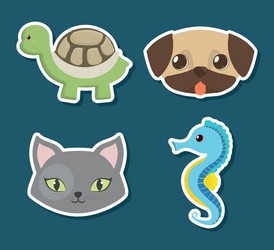 Pet related icon image vector