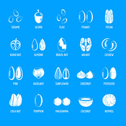 Nut types with signed names icons set simple style vector