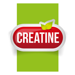 Creatine button or pill - fitness supplement vector