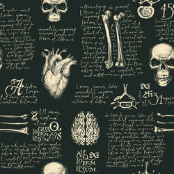 Anatomy Skull Seamless Pattern Vector Image