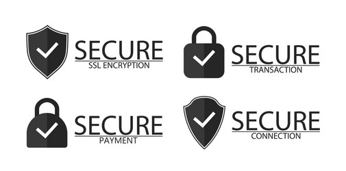 ssl encryption connection and transaction icon vector image
