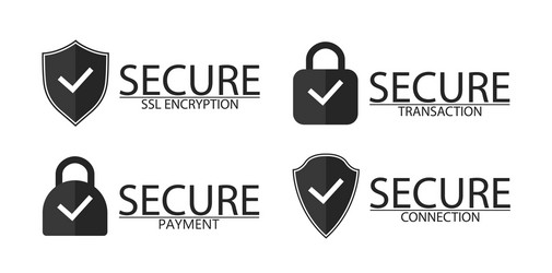 Ssl encryption connection and transaction icon vector