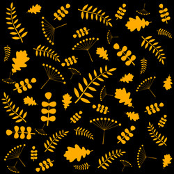 Pattern with autumn leaves of different trees vector