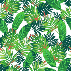 Tropical Leaf Seamless Pattern Vector Image
