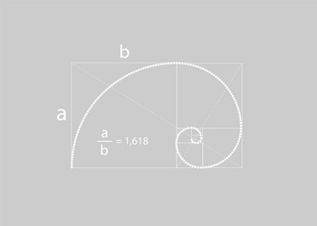 golden ratio fibonacci number mathematic formula vector image
